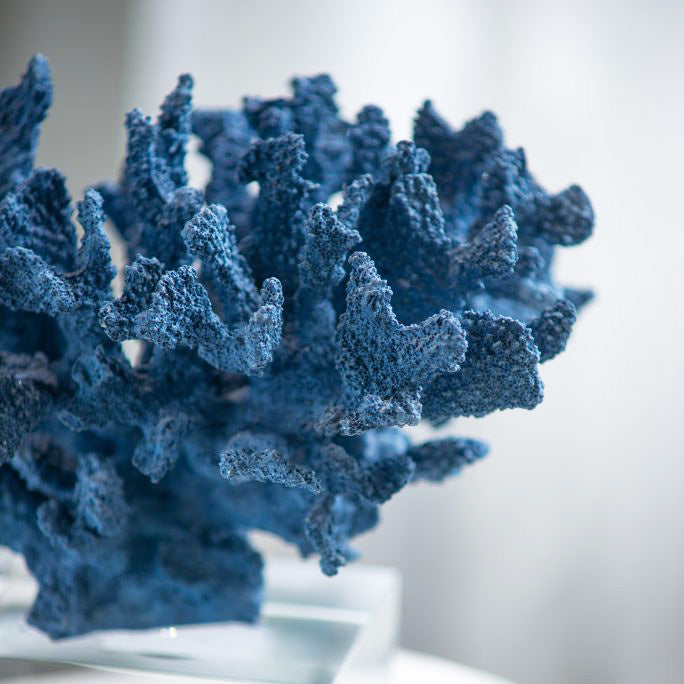 Aqua Coral Decorative Sculpture With Base - Blue
