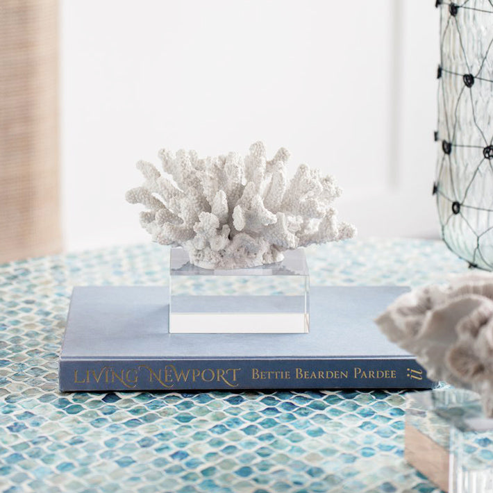 Aqua Coral Decorative Sculpture With Base Small - White