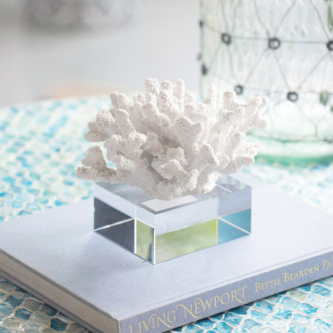 Aqua Coral Decorative Sculpture With Base Small - White