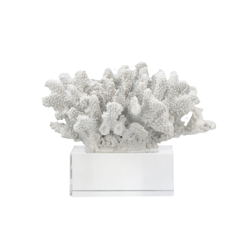 Aqua Coral Decorative Sculpture With Base Small - White