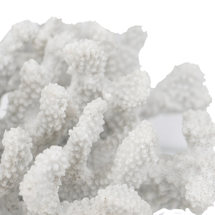 Aqua Coral Decorative Sculpture With Base Small - White