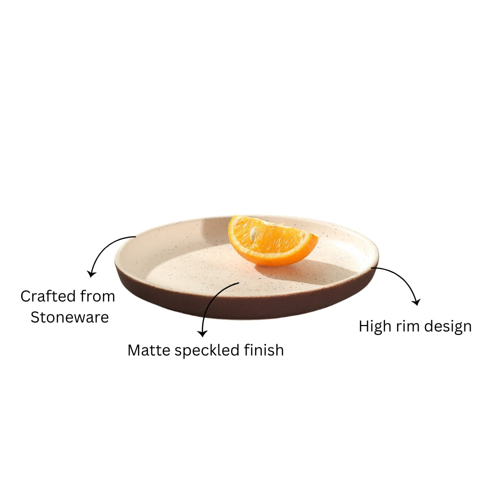 Ariel Gourmet Quarter Plate - Speckled White