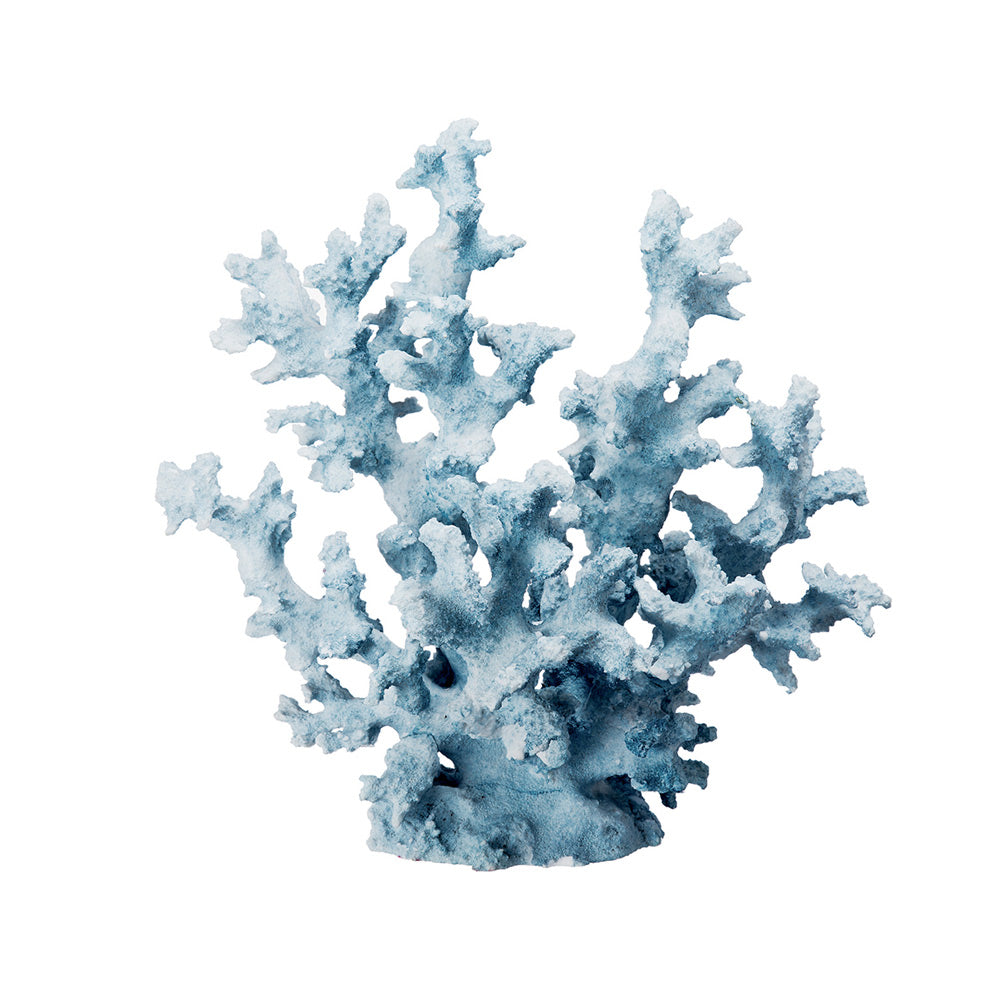 Bird's Nest Coral Sculpture Tall - Blue