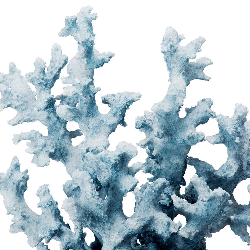 Bird's Nest Coral Sculpture Tall - Blue