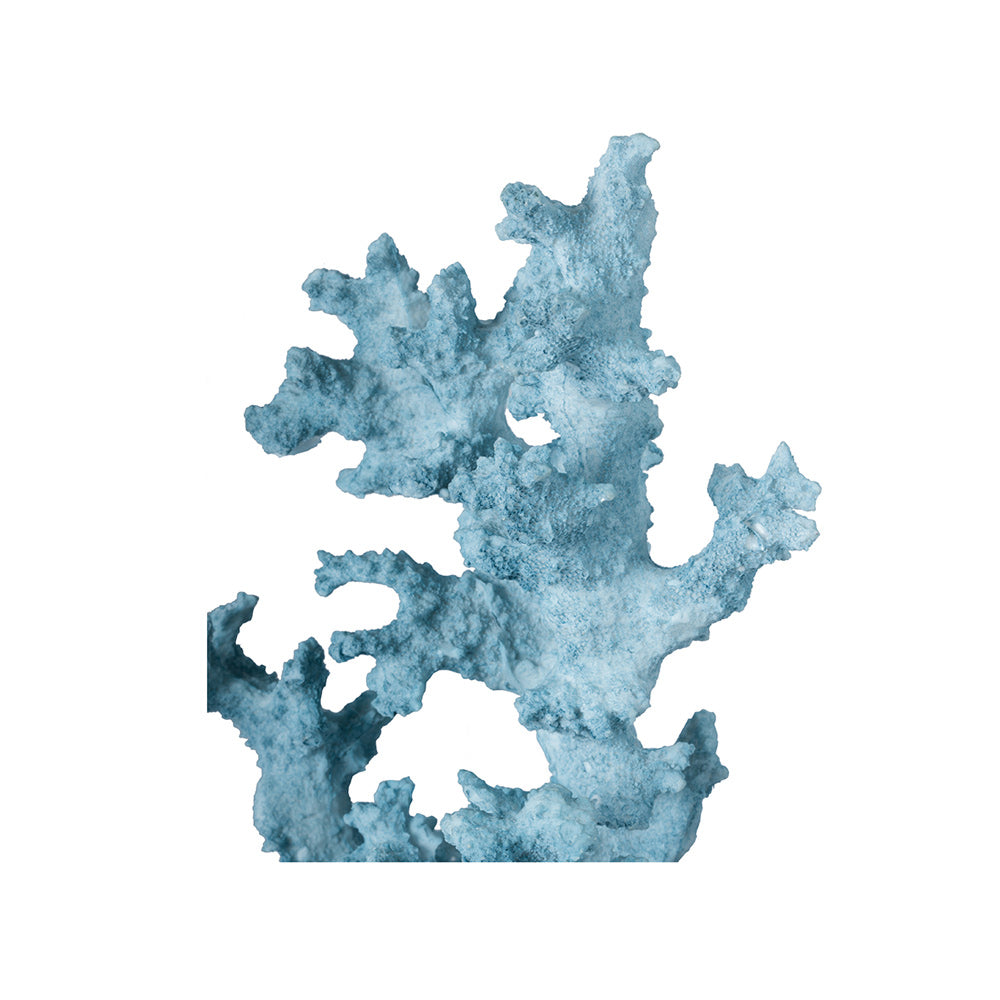 Bird's Nest Coral Sculpture Tall - Blue