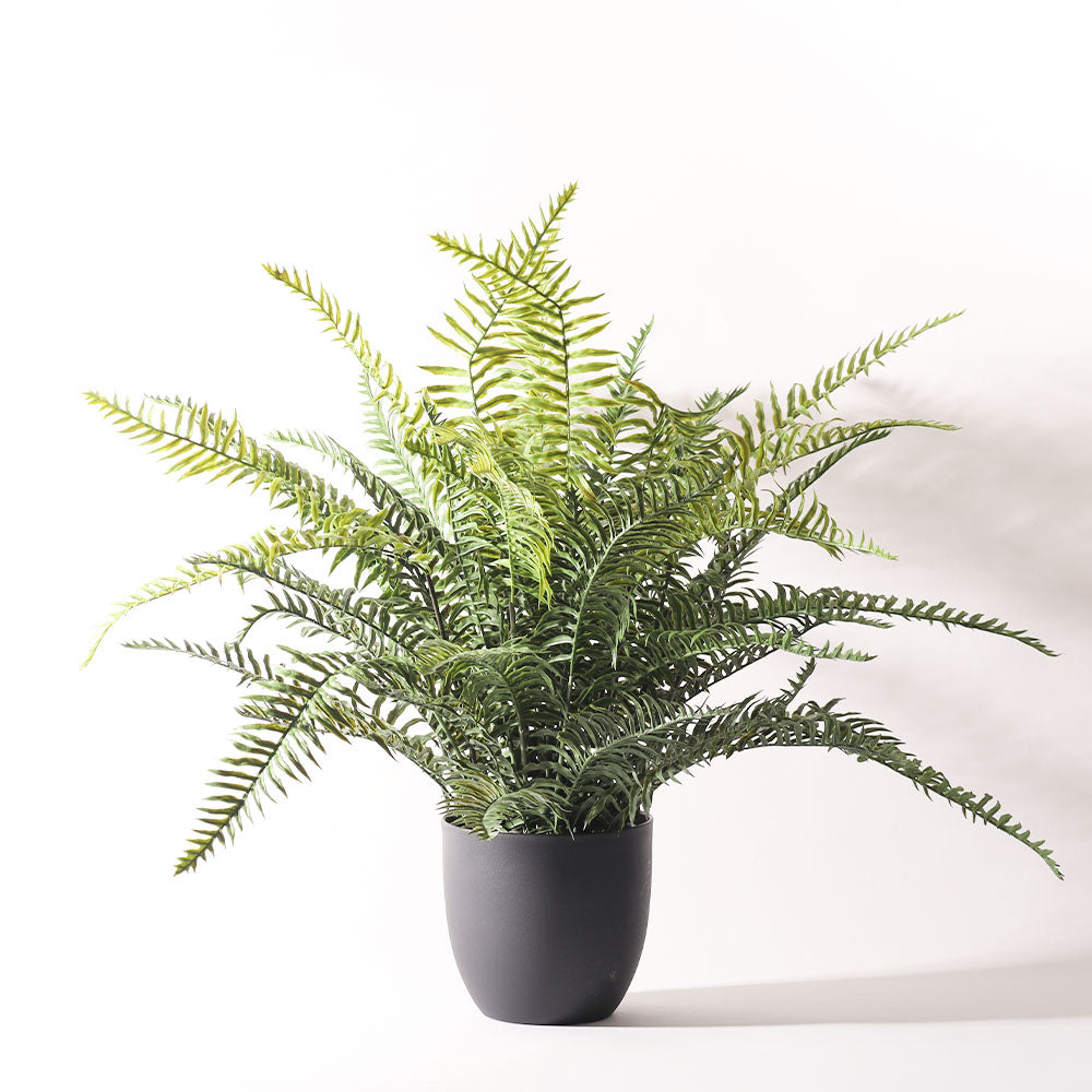 Boston Fern Artificial Potted Plant - Medium