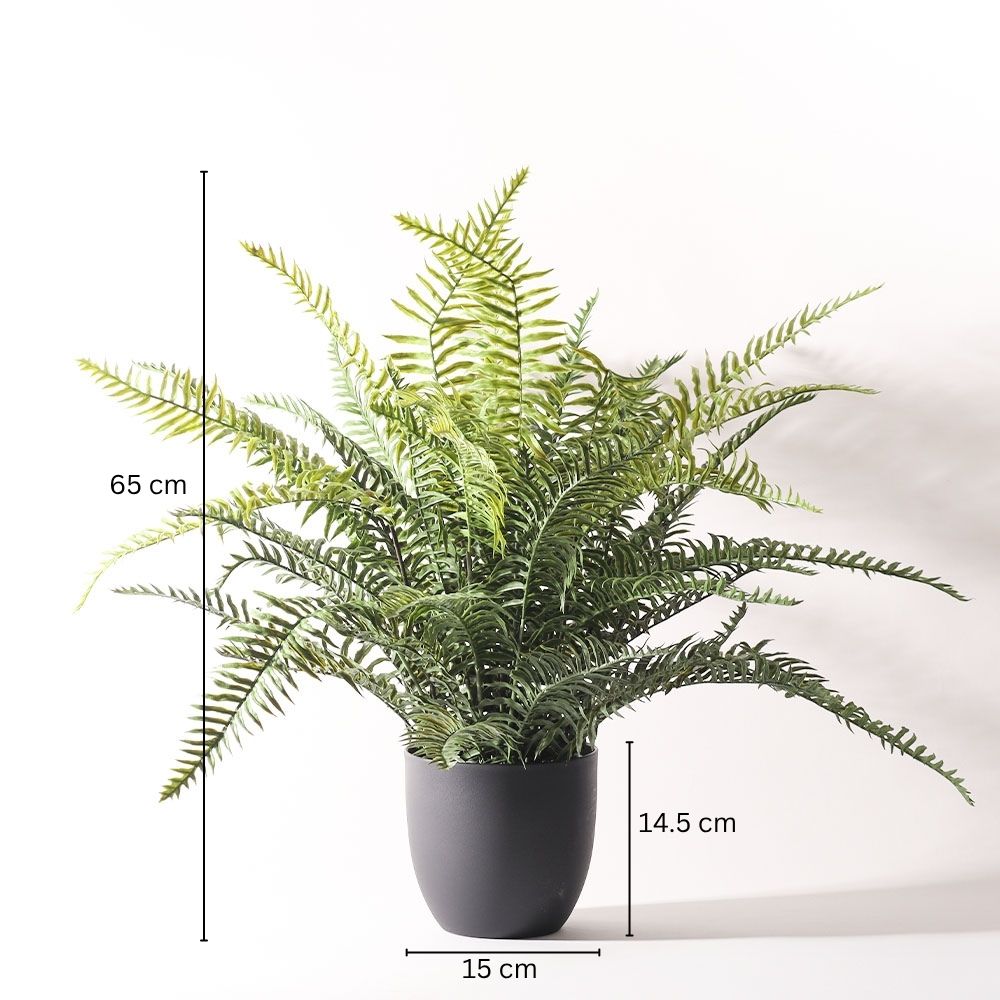 Boston Fern Artificial Potted Plant - Medium