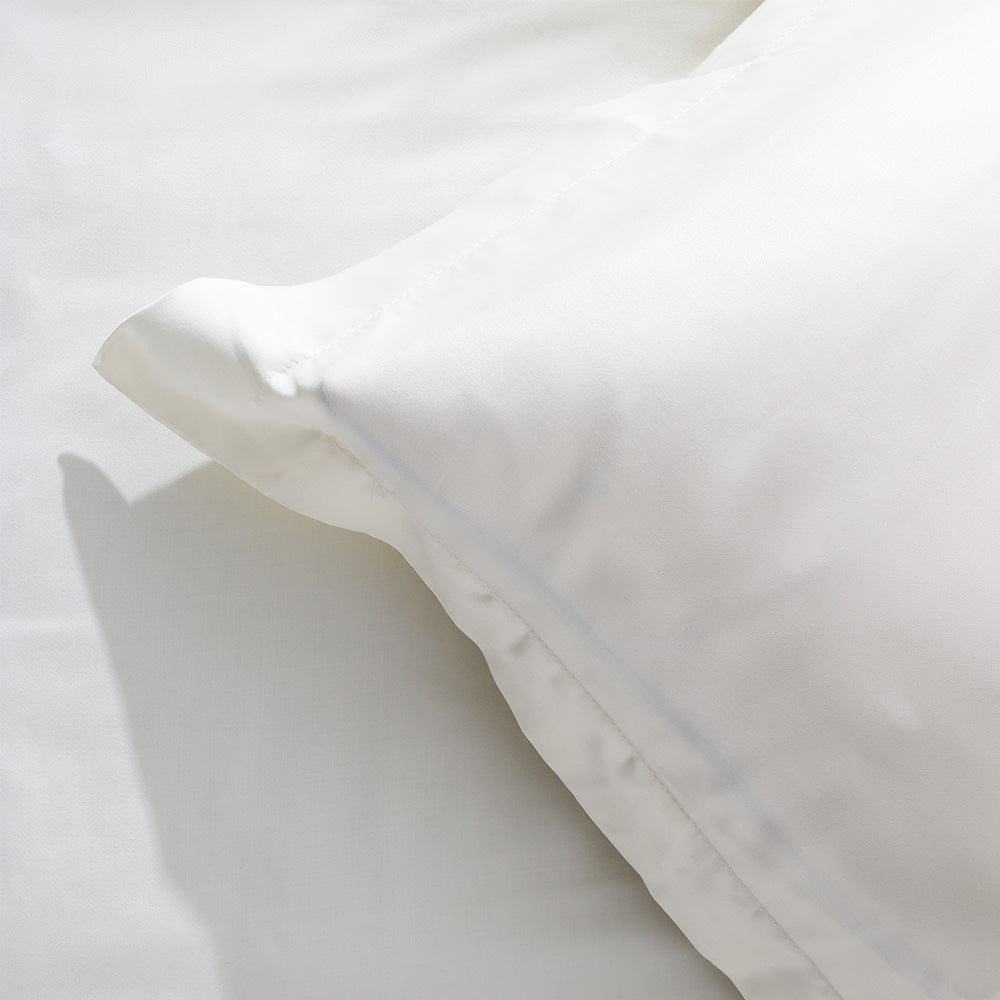 Bottega Bamboo Cotton King Size Bedsheet Set - Ivory