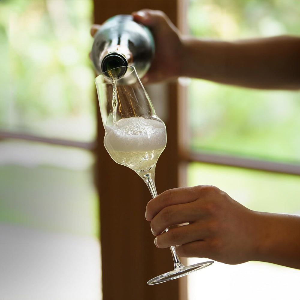 Cocoon Champagne Glasses 340ml, Set of 2