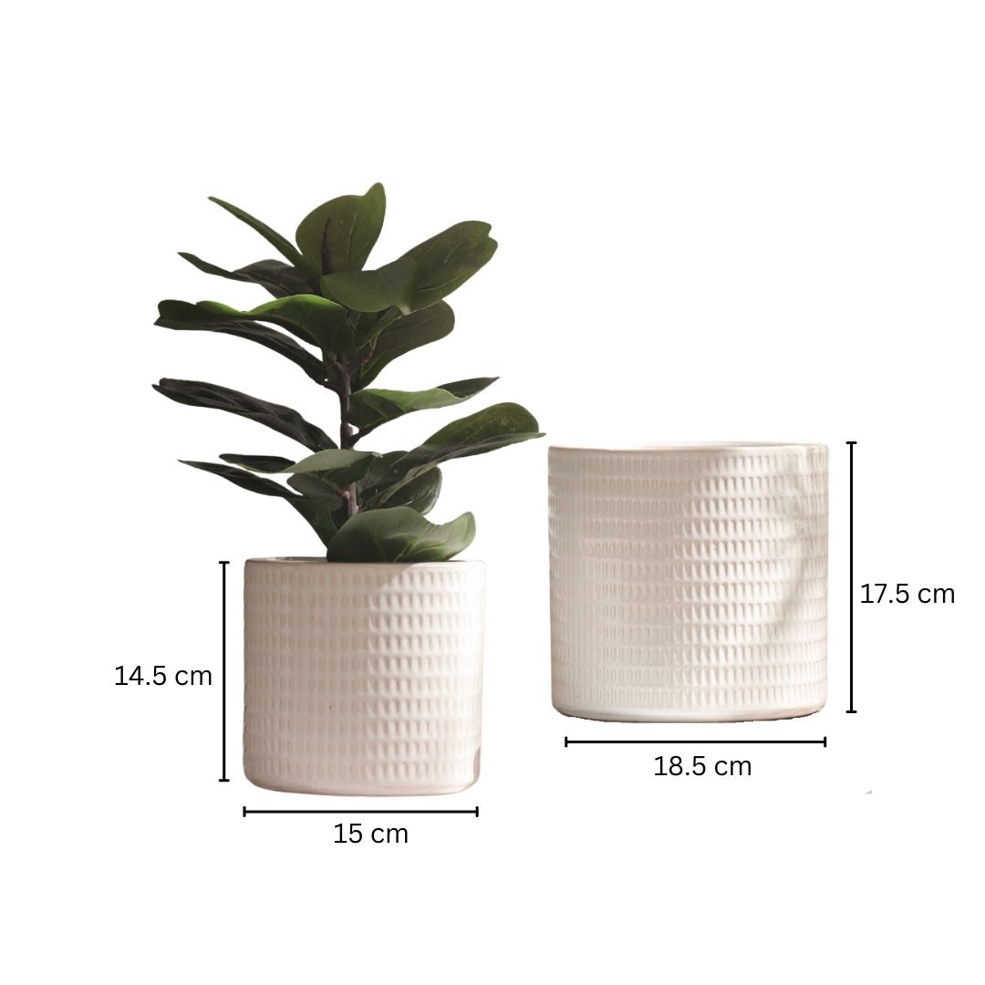 Batons Ceramic Planters, Set of 2 - Sandy White