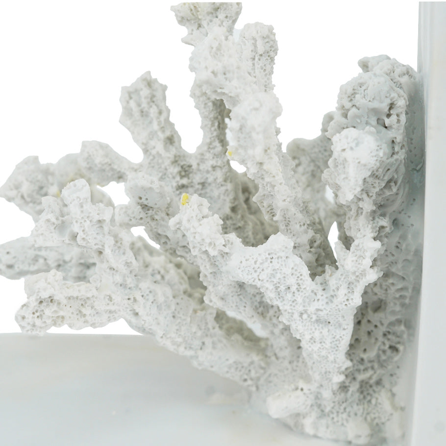 Coral Bookends, Set of 2 - White