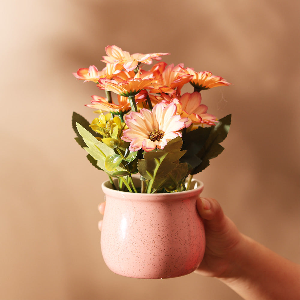 Daisies Artificial Potted Plant - Sunset Pink