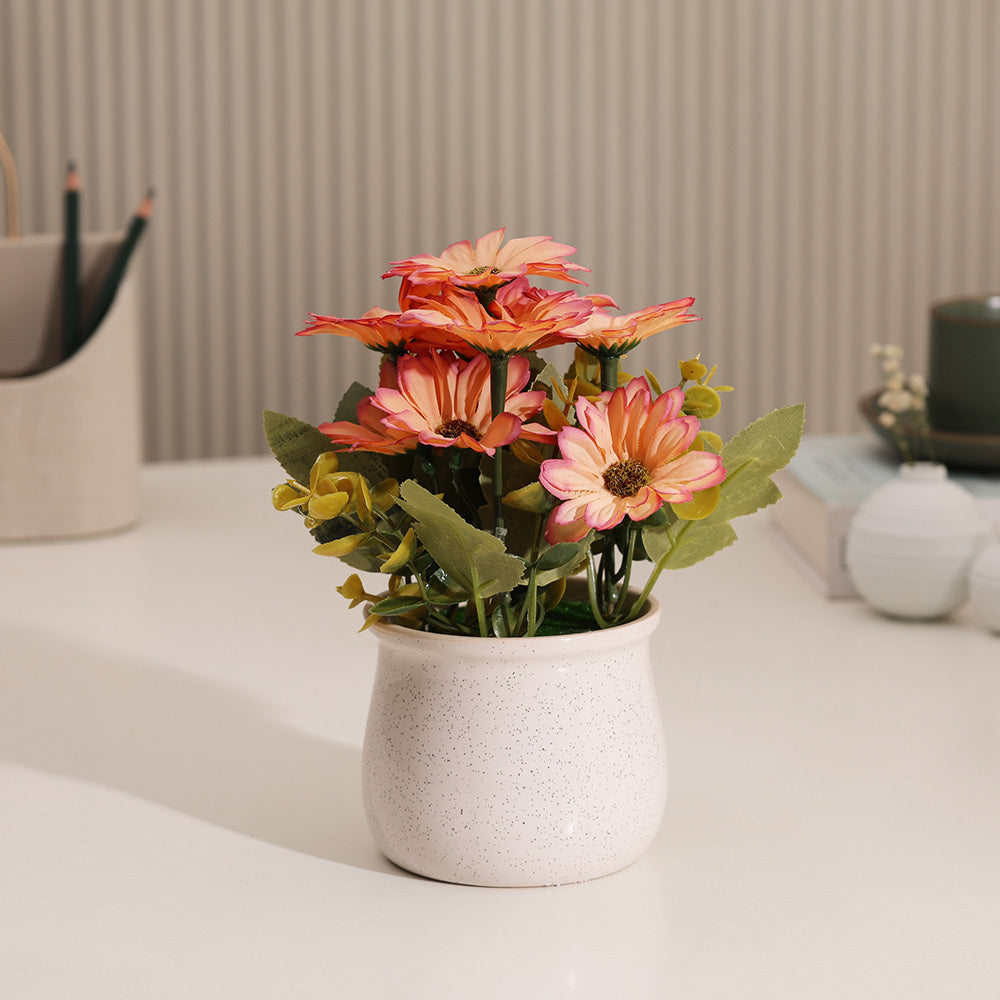 Daisies Artificial Potted Plant - Sunset White