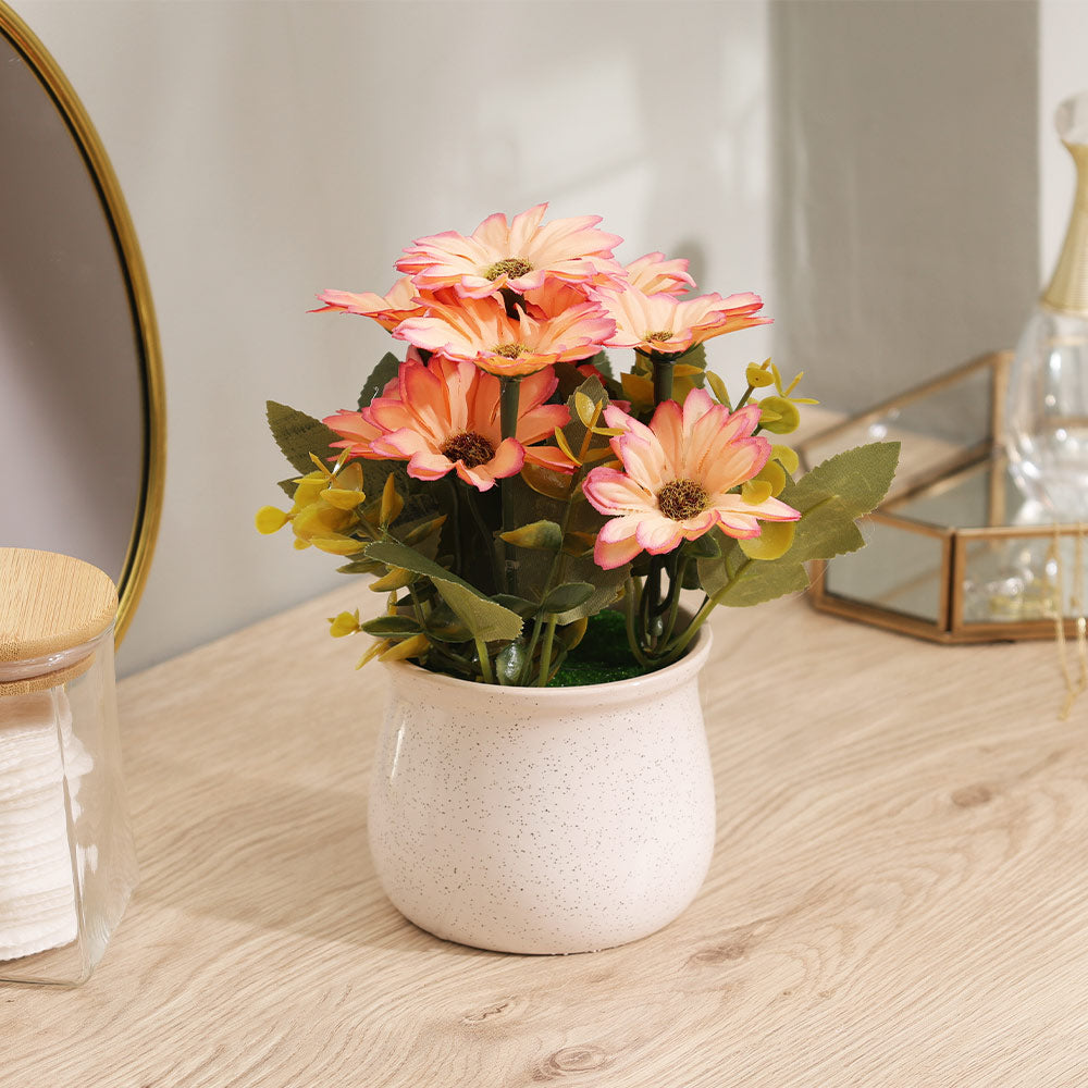 Daisies Artificial Potted Plant - Sunset White