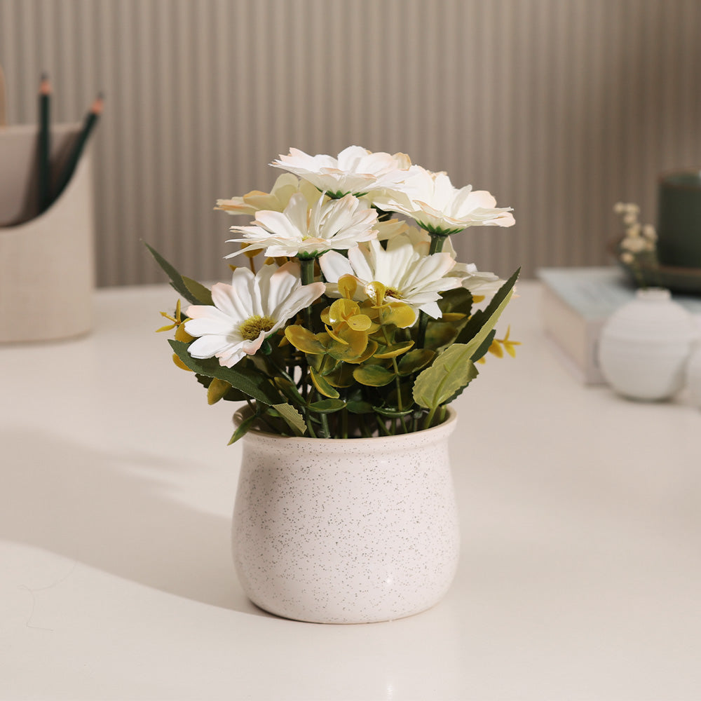 Daisies Artificial Potted Plant - White