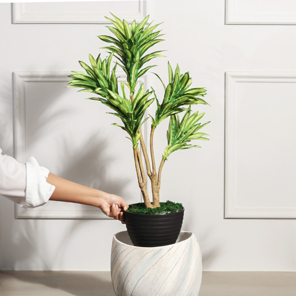 Dracaena Artificial Potted Plant - Medium