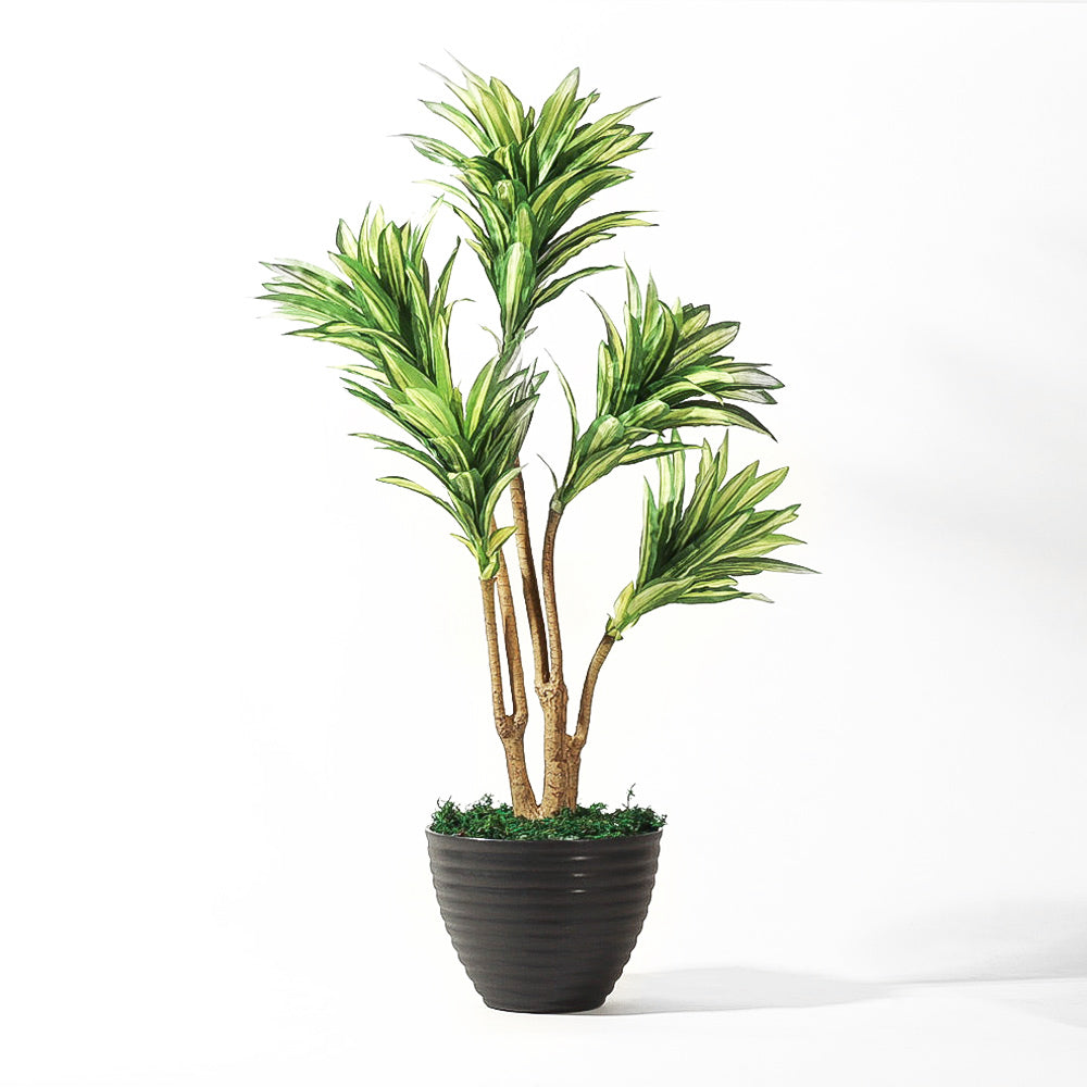 Dracaena Artificial Potted Plant - Medium
