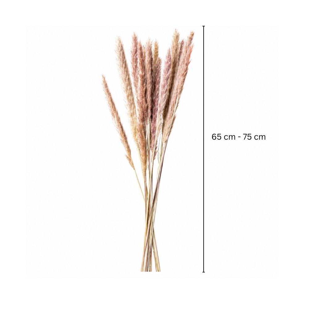 Dried Grass Bunch - Natural