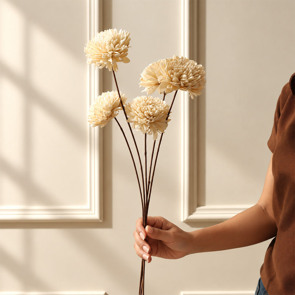 Dried Sola Chrysanthemum Bunch - Cream