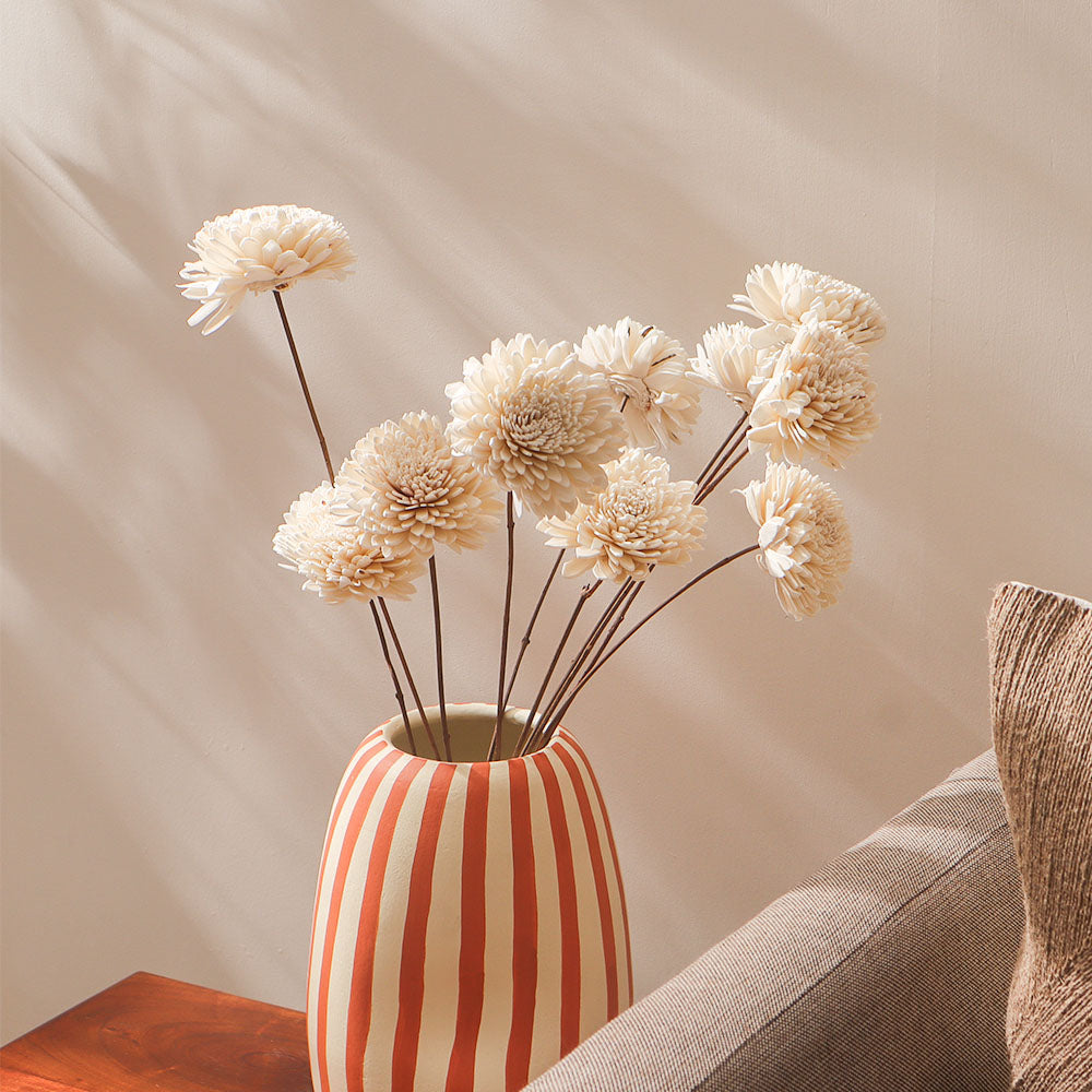 Dried Sola Chrysanthemum Bunch - Cream