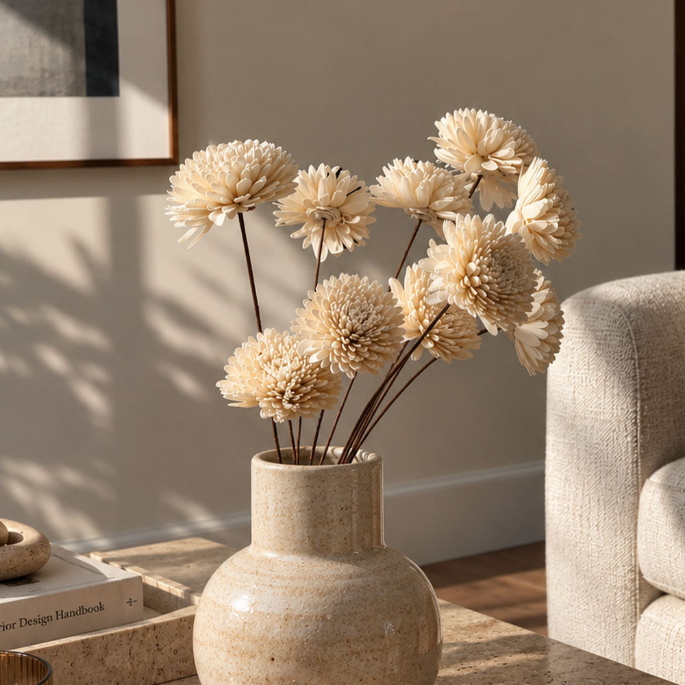 Dried Sola Chrysanthemum Bunch - Cream