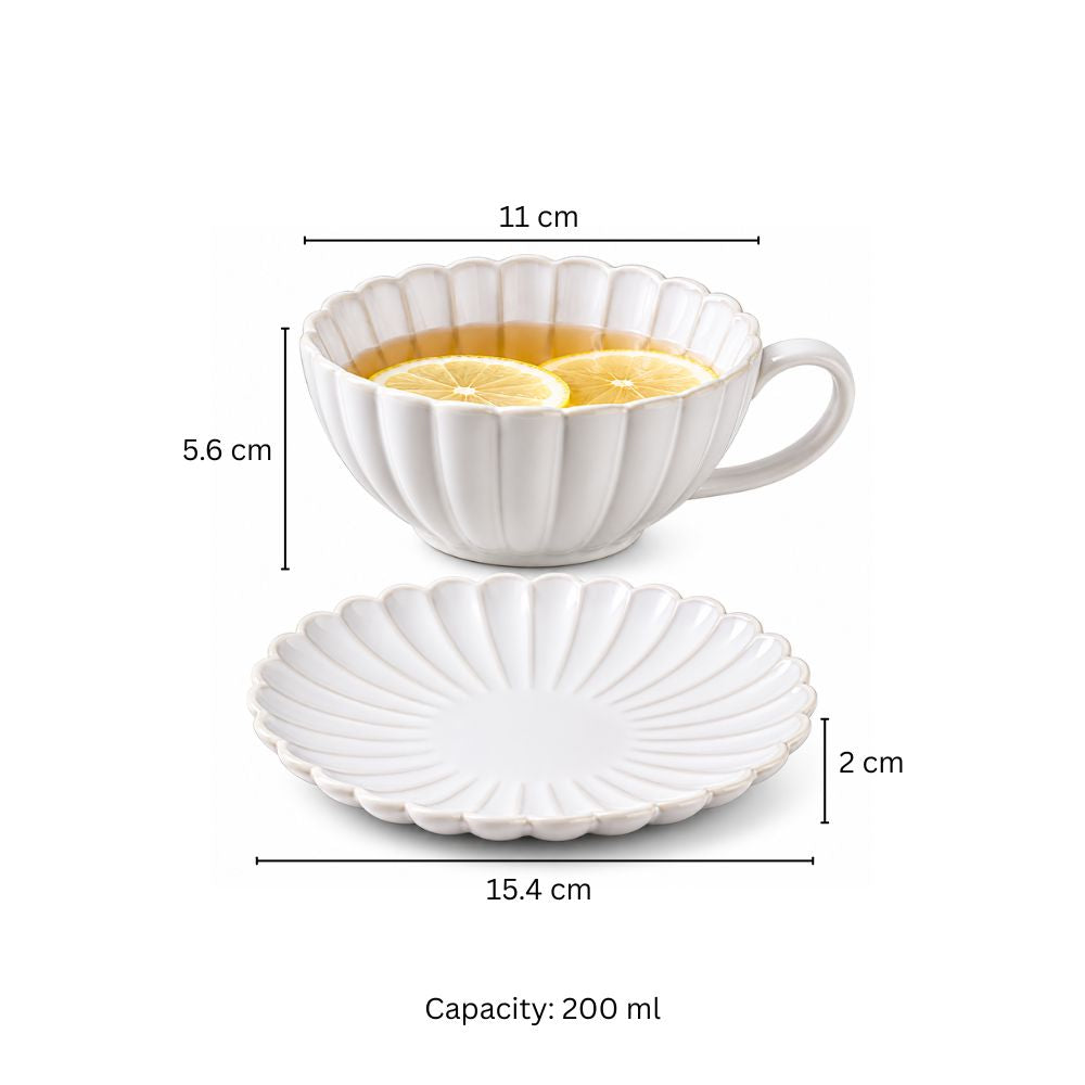 Scallop Cup With Saucer - Ivory