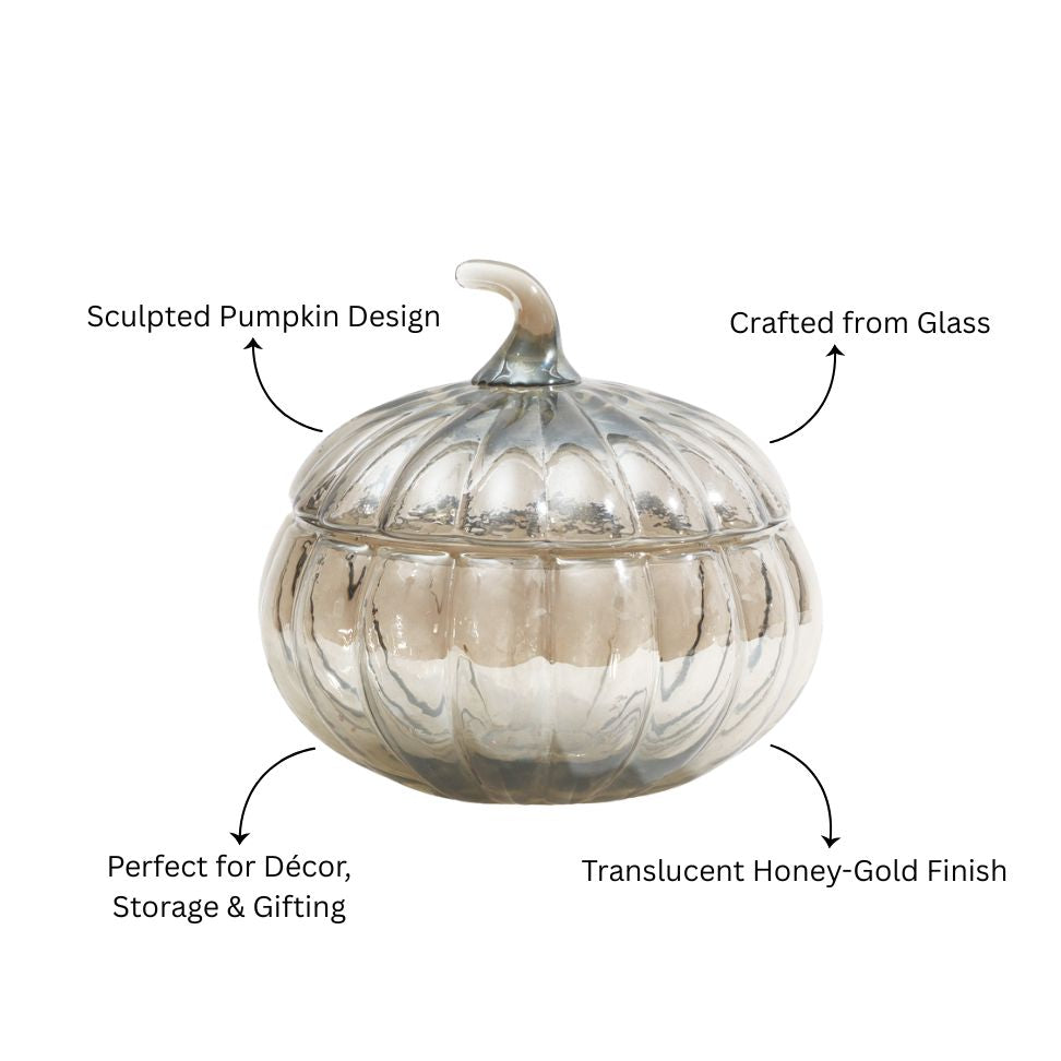 Calabaza Glass Storage Jar - Smokey Grey