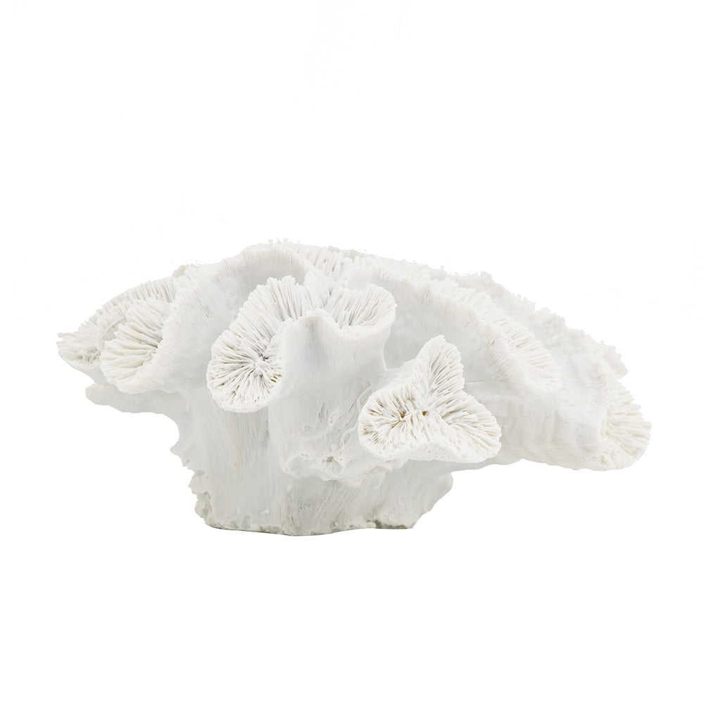 Elkhorn Coral Sculpture - White