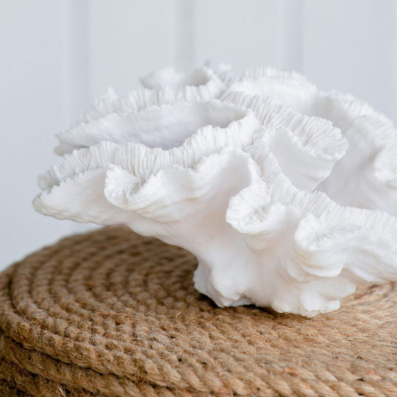 Elkhorn Coral Sculpture - White