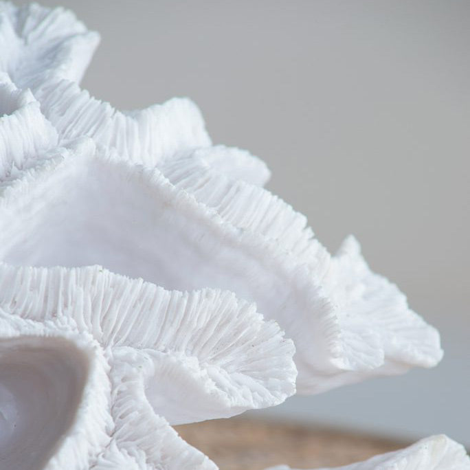 Elkhorn Coral Sculpture - White