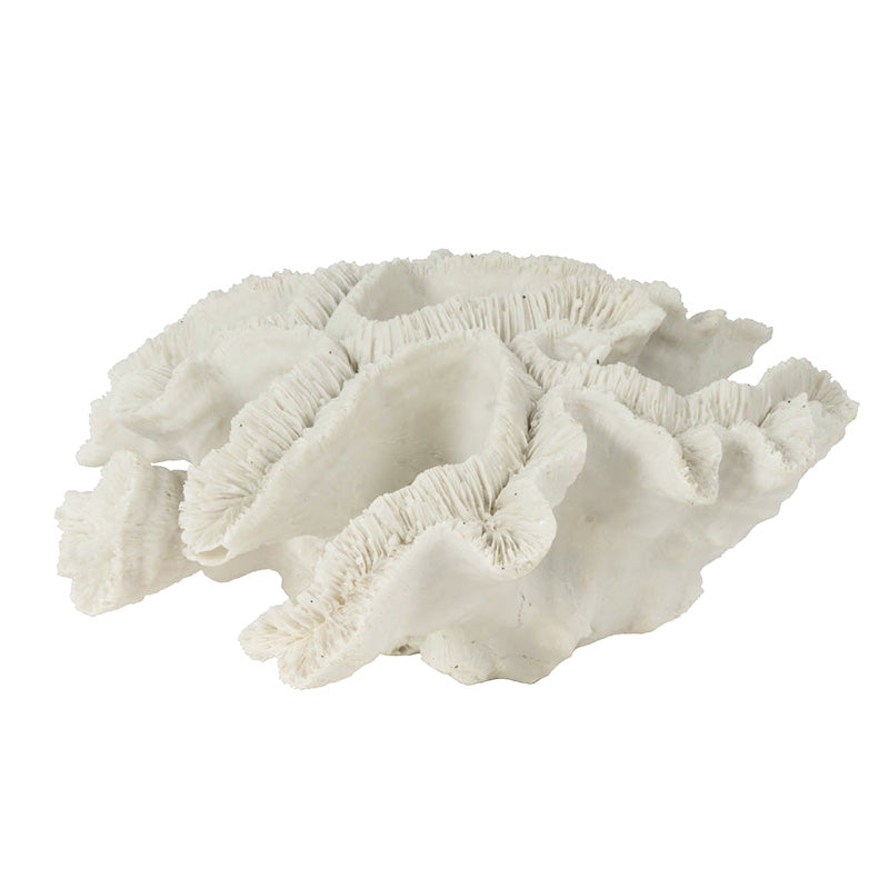 Elkhorn Coral Sculpture - White