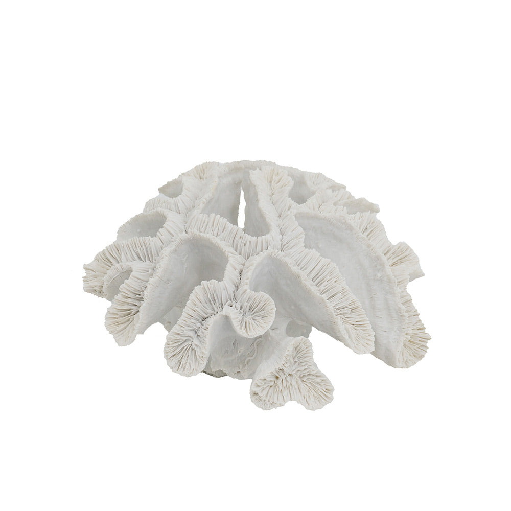 Elkhorn Coral Sculpture - White