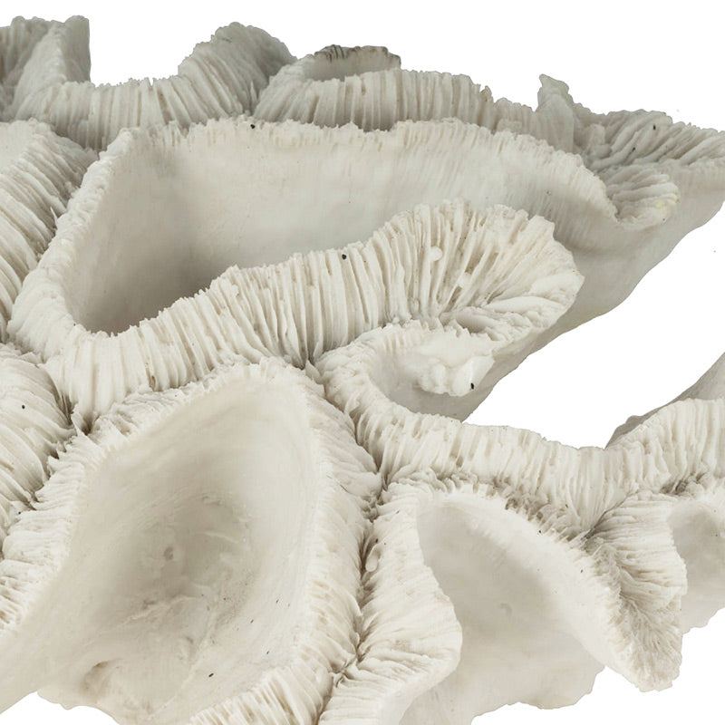 Elkhorn Coral Sculpture - White