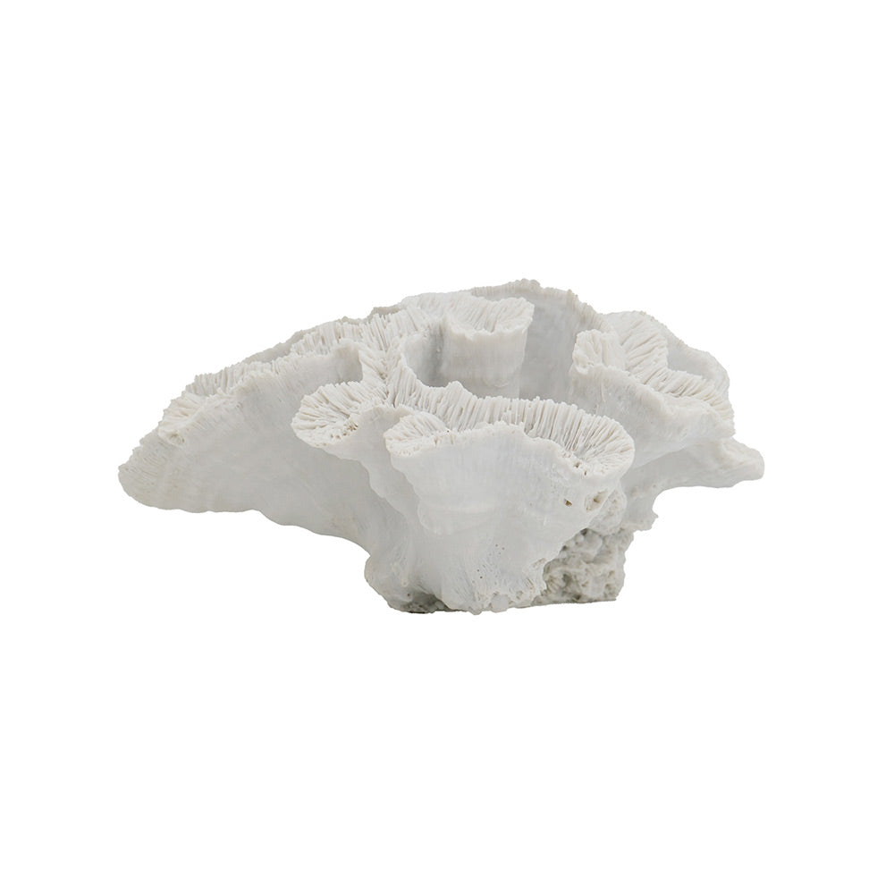 Elkhorn Coral Sculpture - White