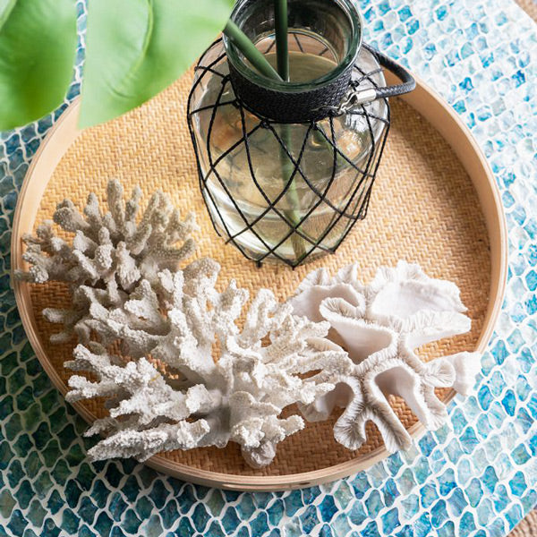 Elkhorn Coral Sculpture - White