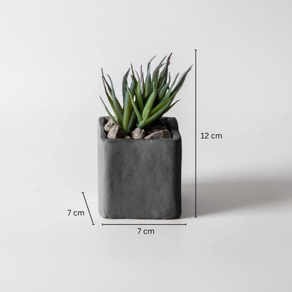 Faux Square Table Plant - Aloe