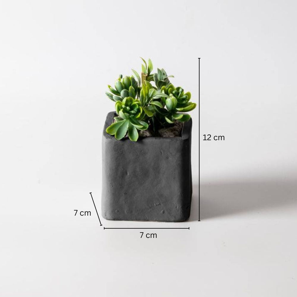 Faux Square Table Plant - Jade