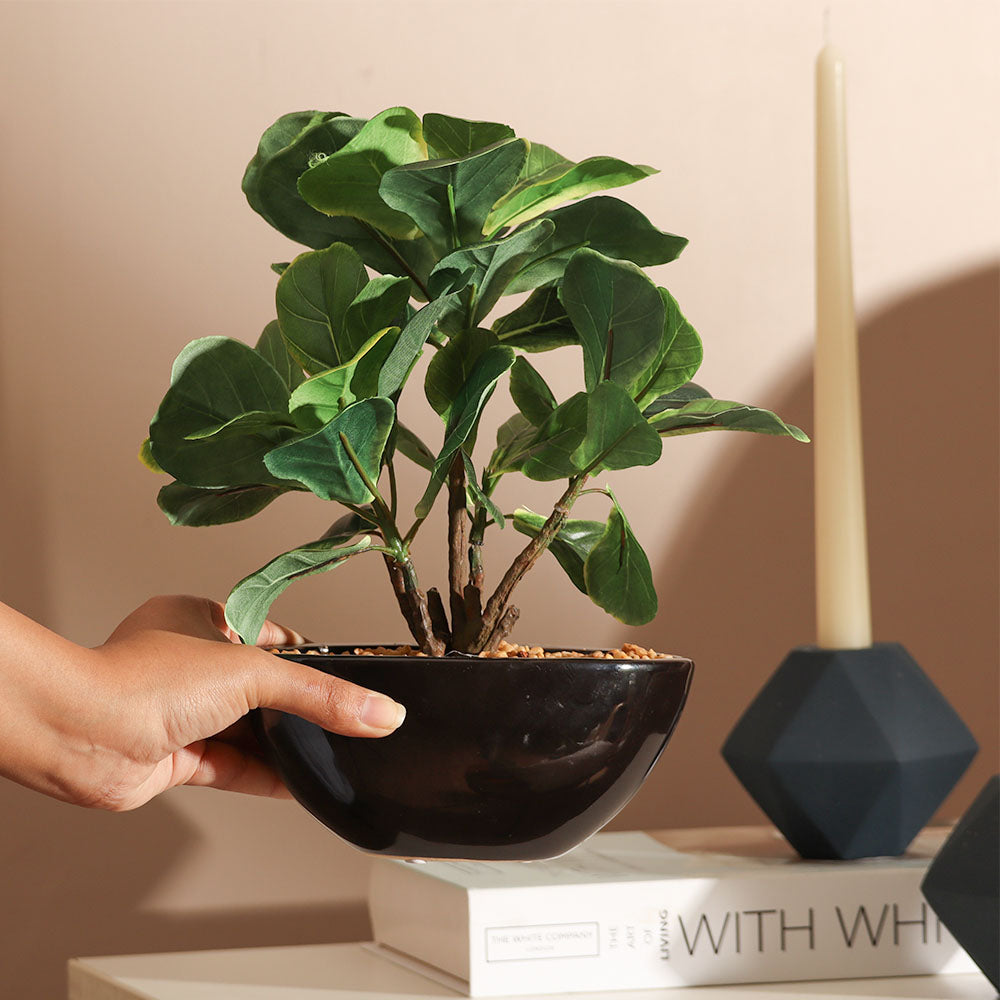 Fiddle Leaf Fig Artificial Oval Potted Plant Mini - Green