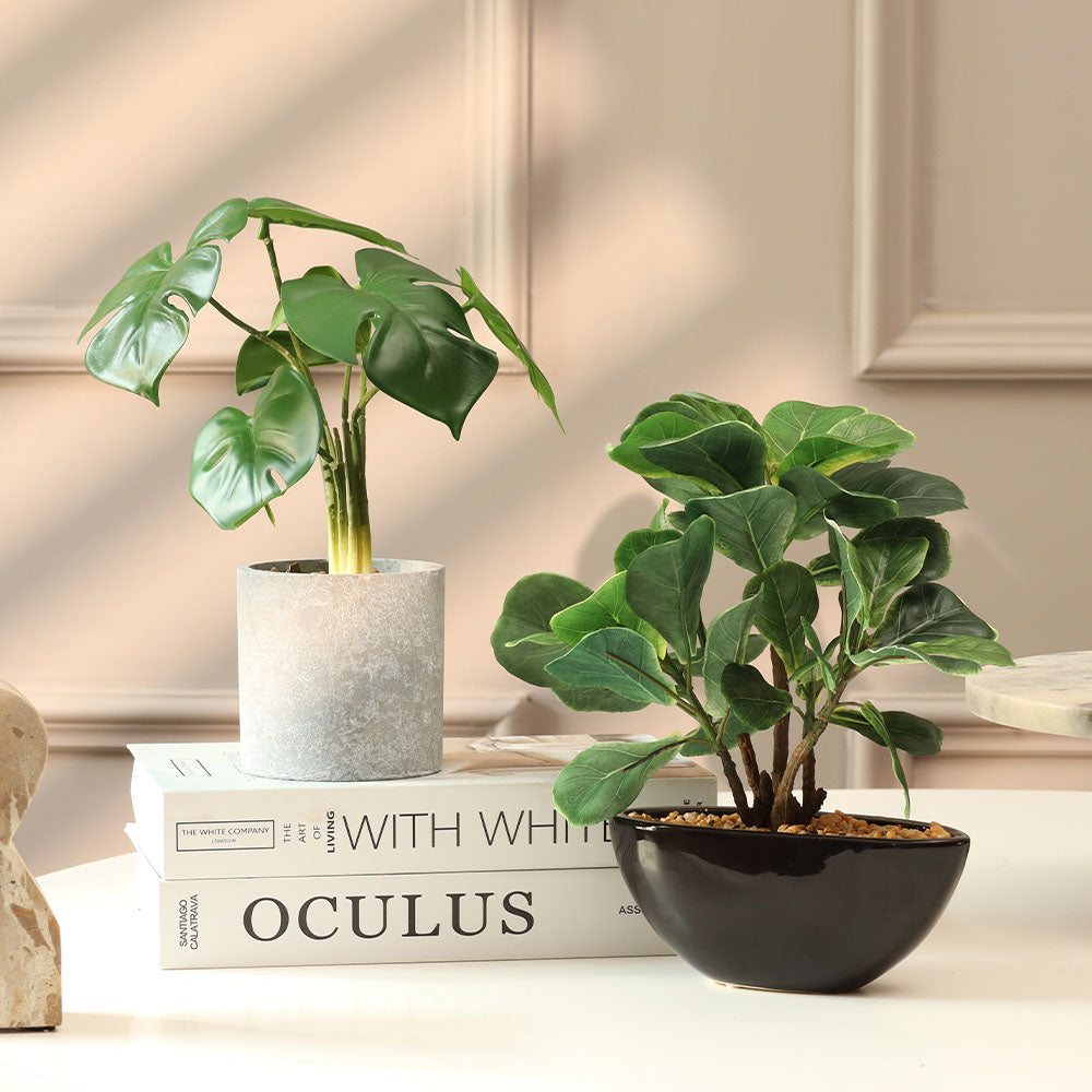Fiddle Leaf Fig Artificial Oval Potted Plant Mini - Green