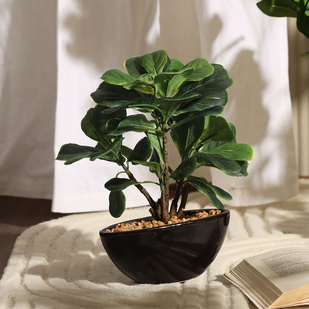 Fiddle Leaf Fig Artificial Oval Potted Plant Mini - Green