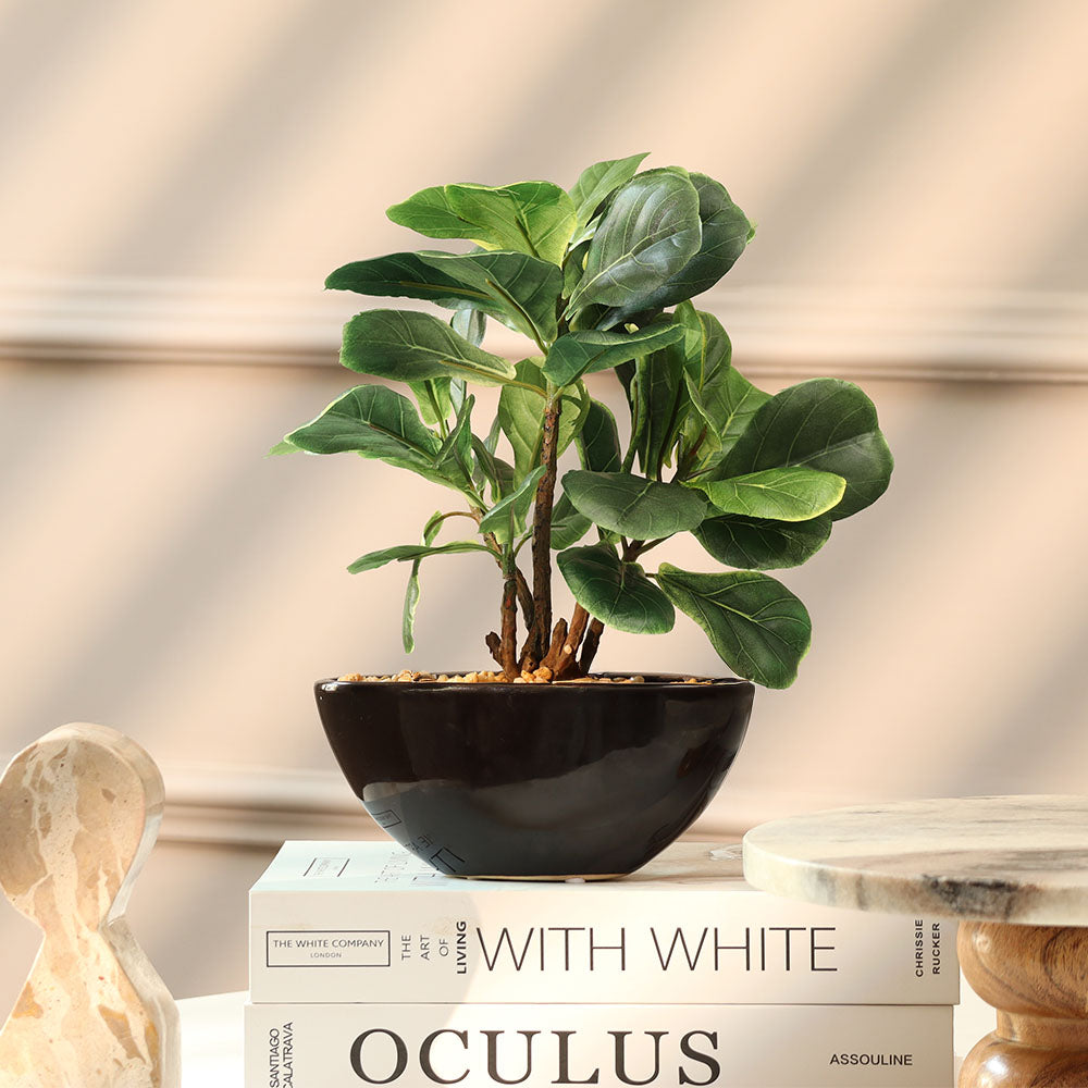 Fiddle Leaf Fig Artificial Oval Potted Plant Mini - Green