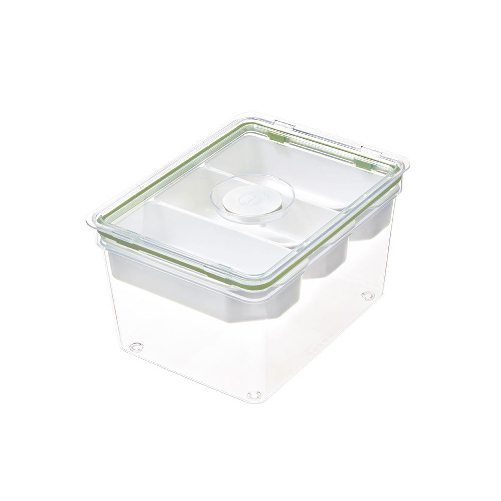 Tall Produce Storage Container with Dividers Large
