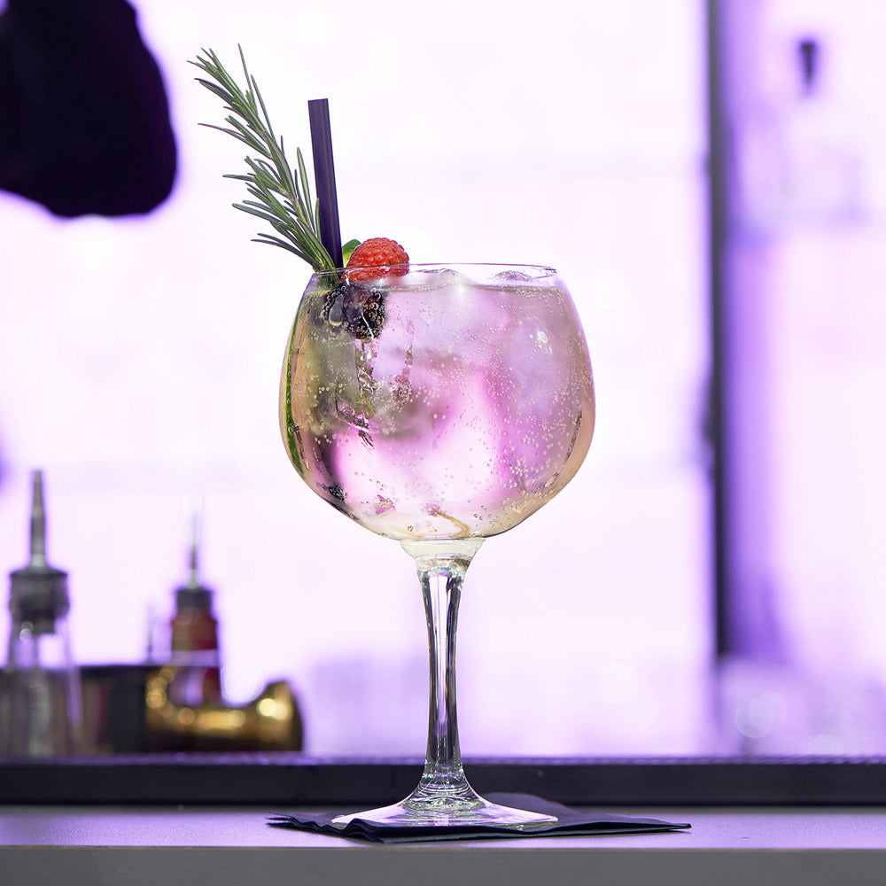 Gin & Tonic Glasses 650ml, Set of 4