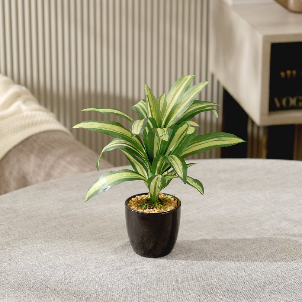Hawaiian Dracaena Artificial Potted Plant - Mini