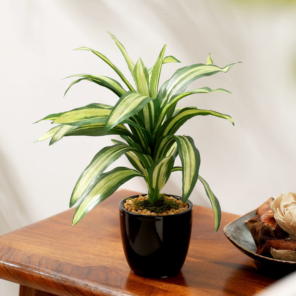 Hawaiian Dracaena Artificial Potted Plant - Mini