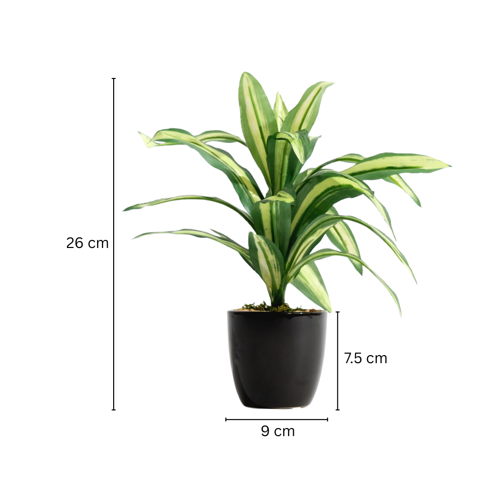 Hawaiian Dracaena Artificial Potted Plant - Mini