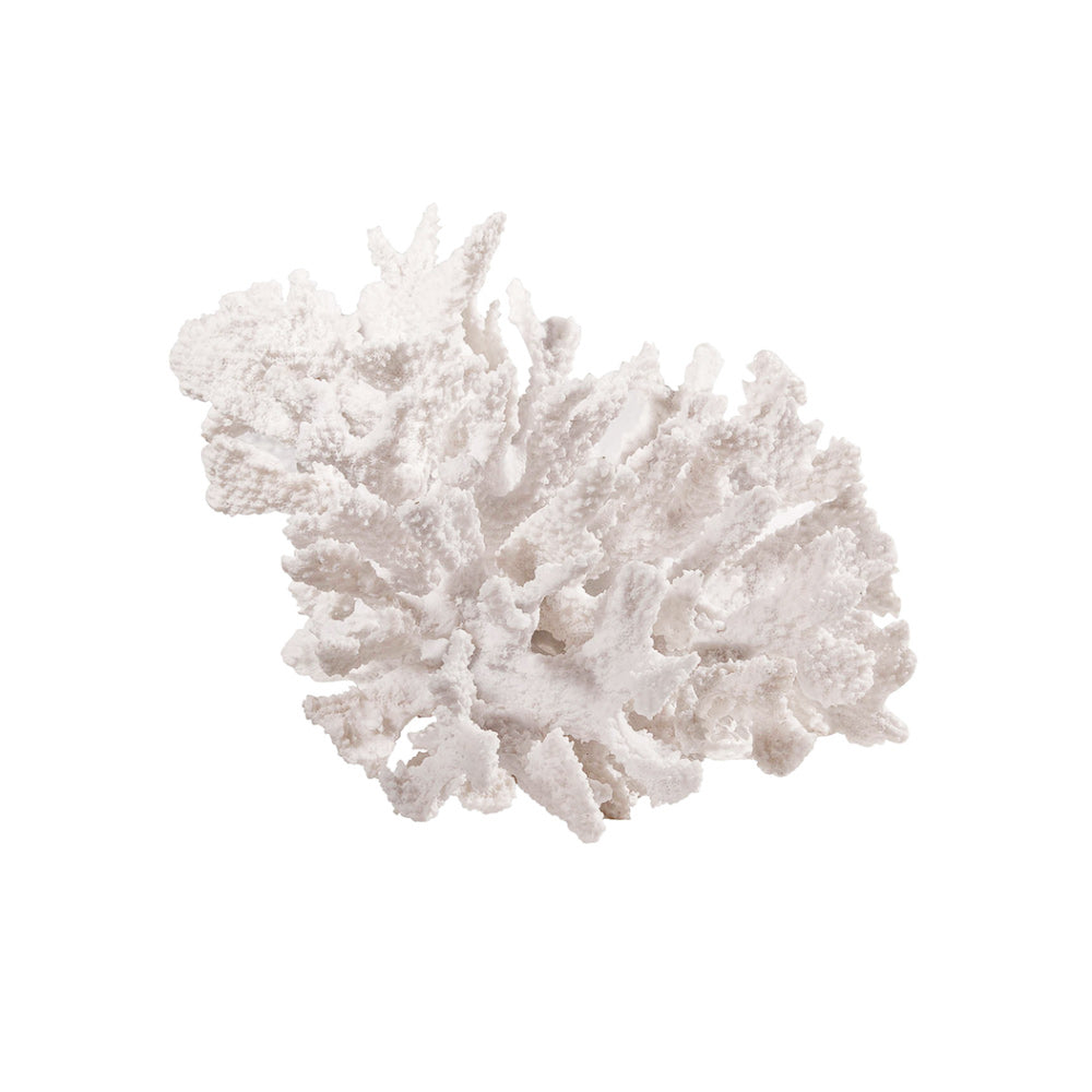 Hydra Coral Decorative Sculpture - White