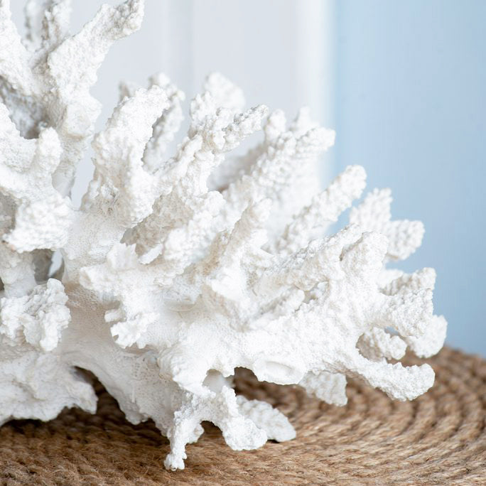 Hydra Coral Decorative Sculpture - White