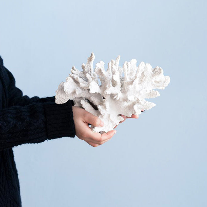 Hydra Coral Decorative Sculpture - White