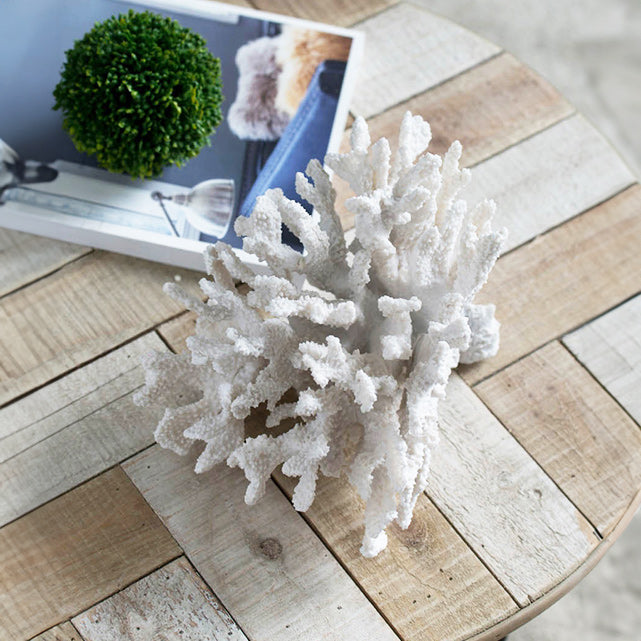 Hydra Coral Decorative Sculpture - White